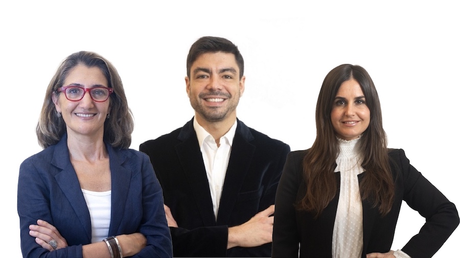 BERKEN IP team